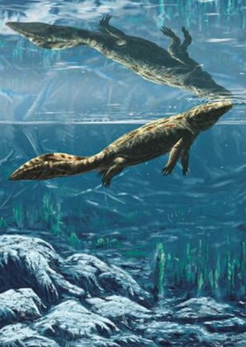 Hynerpeton