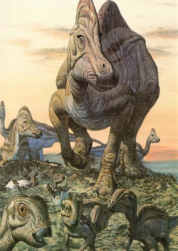 Hypacrosaurus
