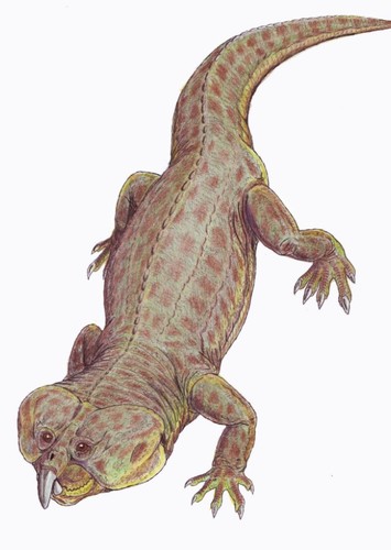 Hyperodapedon