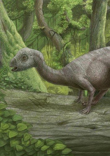 Hypsilophodon