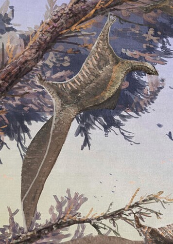 Hypuronector