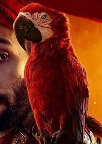 Iago The Parrot