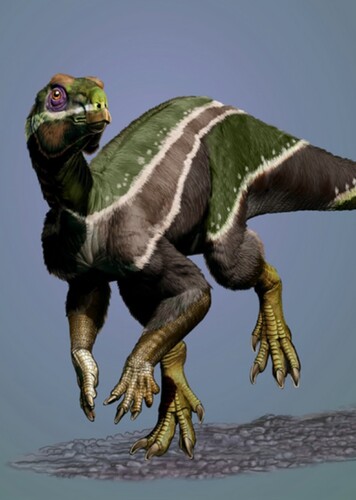 Iani