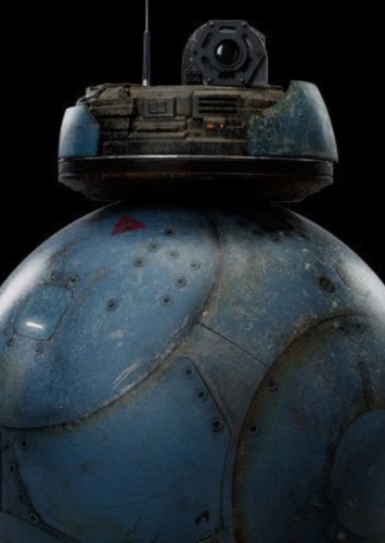 iBB-48