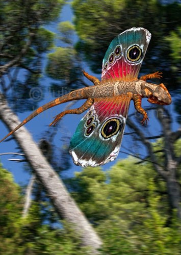 Icarosaurus