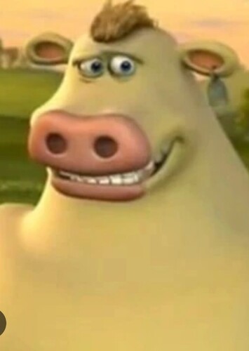 igg The Cow