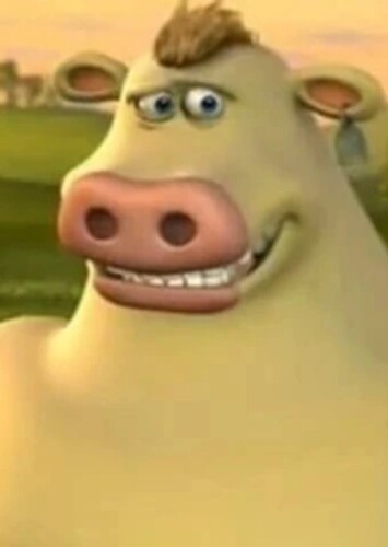 Igg the Jersey Cow