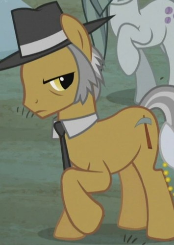Igneous Rock Pie