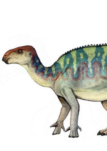 Iguanacolossus