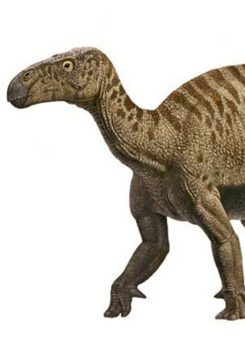 Iguanodon