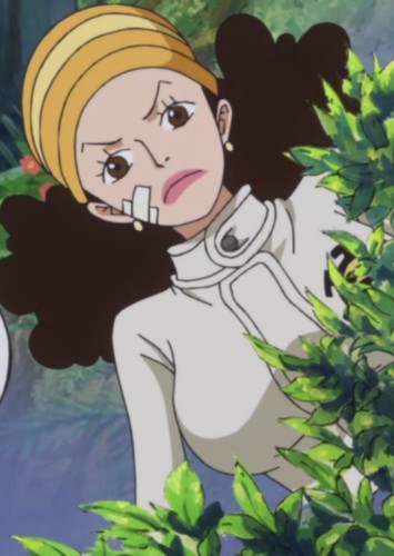 Ikkaku