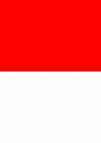 Indonesian