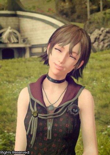 Iris Amicitia