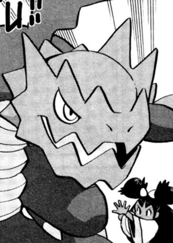 Iris's Druddigon (English Dub)