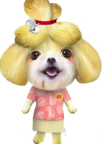 Isabelle