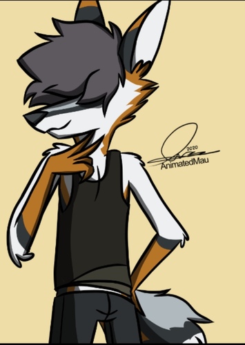 Jack