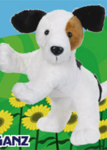 Jack Russell