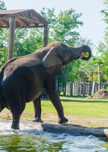 Jacksonville Zoo and Botanical Gardens