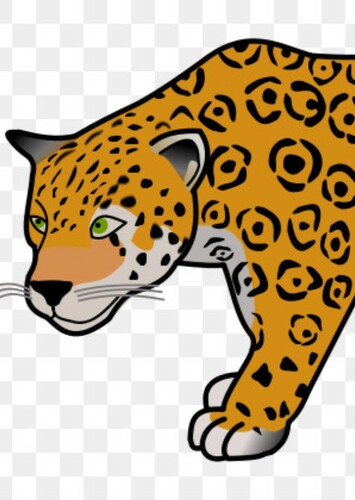 Jaguar