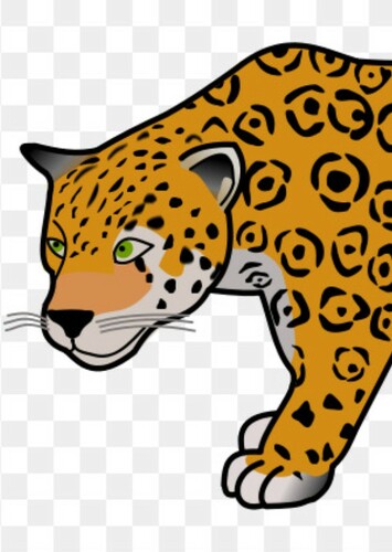 Jaguar
