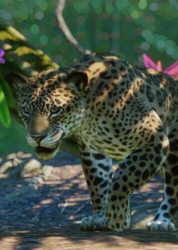 Jaguar