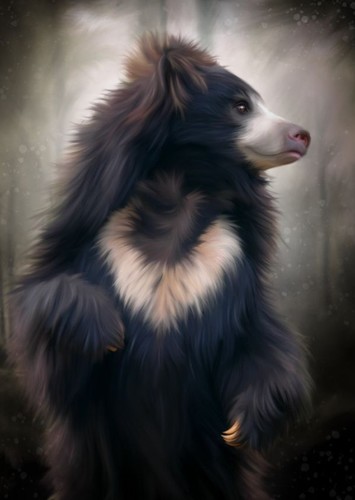 Jai