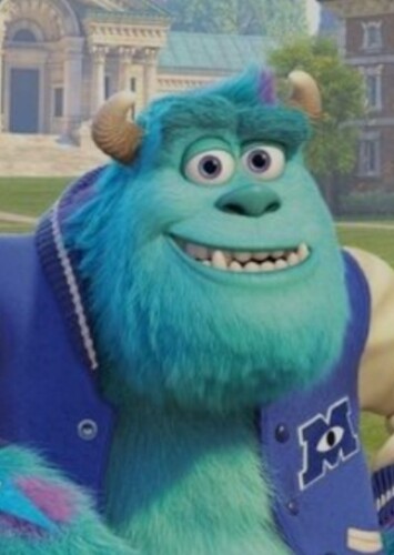James P. “Sulley” Sullivan