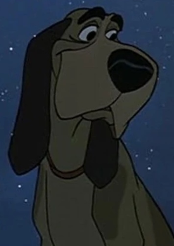 Jasper The Bloodhound