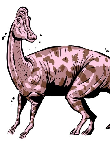 Jaxartosaurus