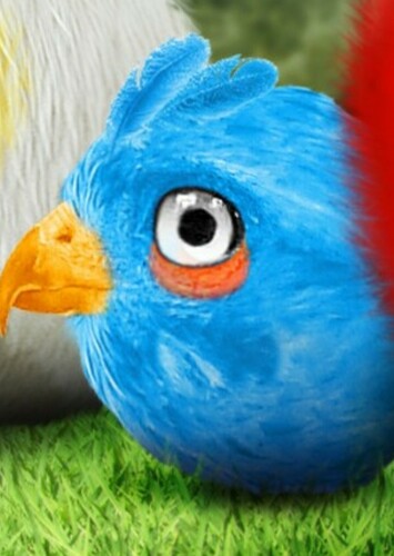 Jay
