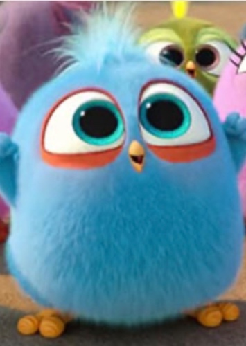 Jay