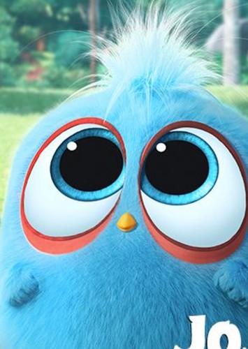 Jay