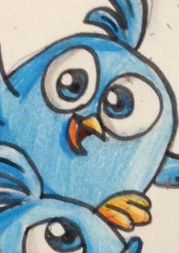 Jay blue