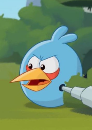 Jay blue