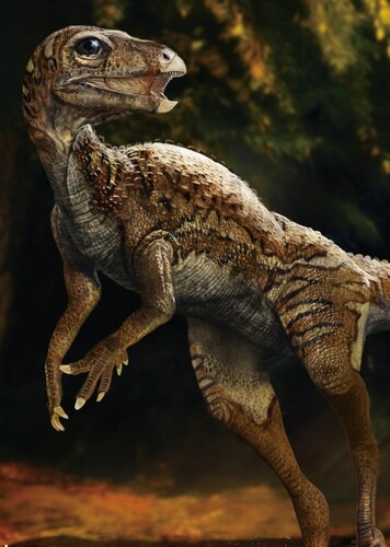 Jeholosaurus