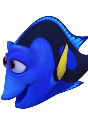 Jenny the Blue Tang Fish