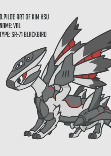 Jet Fighter Dragon