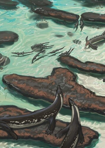 Jialinglingjang Formation
