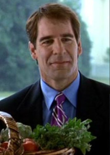 Jim Olmeyer