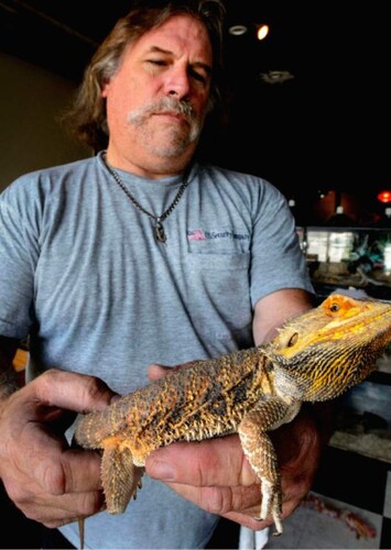 Jim the reptile lizard