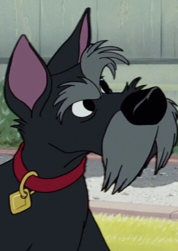 Jock