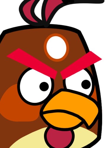 John the brown bird