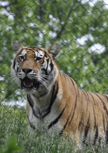 John Ball Zoo