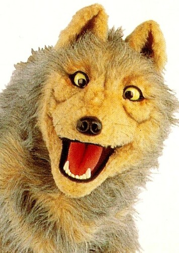 Johnny the Wolf