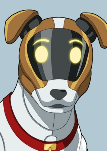 JR Terrier