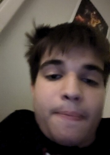 Jude the hedgehog