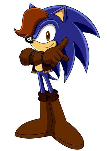 King Jules The Hedgehog