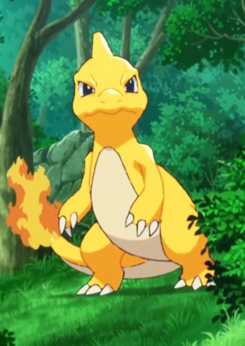 Bowser's/Junior's Charmeleon