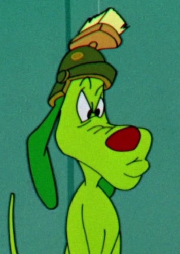 K-9