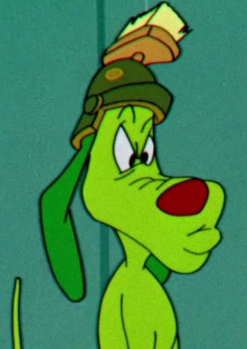 K-9